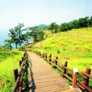 올레길 - 북구 동변로23길 13-21 | 올레길