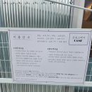 더 캠프 스테이 | [애견 동반] 칠곡 감동스테이캠프 후기 - 기대보다 더 좋았던 최고의 캠핑장