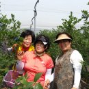 칠봉산농장