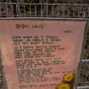 양지바른정비마당 | 잘 늙은 절집 운주 화암사(花巖寺)