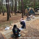 창의의 숲 이미지