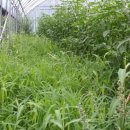 가야농원 이미지