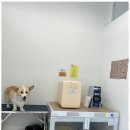 더 빛나개 이미지