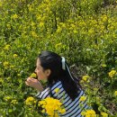 이영애농장 이미지