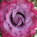 고향산천슈퍼 이미지