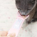 펫수니