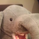 인형세상 이미지