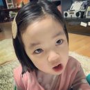 라니 이미지