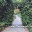 BBQ카페 곤지암리조트점 이미지