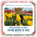 평택-평택-16 | 6살 아이와 봄 주말 나들이 갈만 한 곳 평택농업생태원 꽃나들이 솔직 후기 (2026년 4월 16일-19일 행사)