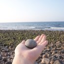 내도동 알작지왓 이미지