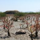 블루사이언스 이미지