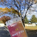 멘토나라 | [활동 후기] 미래엔 교대생 멘토링 '미래잇다' 멘토 활동