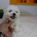 원주브리딩 이미지