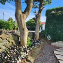 가보자식당 이미지