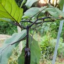 발화농장 이미지