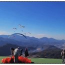 단양패러글라이딩 이미지
