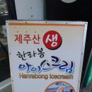 이디아장
