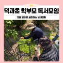초등 독서동아리 | 전북 남원 농촌유학 덕과초등학교 학부모 독서동아리, 자연에서 배우는 생태전환!