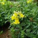 부개성누가의원 이미지