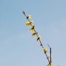 제니패션 신대방점(에버뷰티제니) 이미지