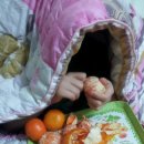 달콤한아재 이미지