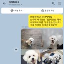 페리토리 이미지