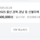 라이프짐MMA 이미지