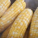 한진1농장 이미지