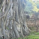 반일코스 | 방콕 아유타야 선셋 리버크루즈 반일투어 후기 | 일정 • 코스 솔직리뷰