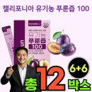 푸른쥬스