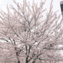 두리원웨딩홀 앞 이미지