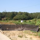 남궁농장 이미지