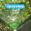 양백 | 제철 코어 여행 추천 단양 구경 시장 이끼 터널 후기