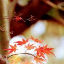 생각의창 - 양천구 목동동로 73 | 생각의창