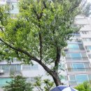(주)힐링파마 이미지