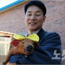 성산종돈장 이미지