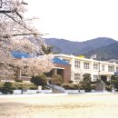 번암초등학교 이미지