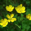 (주)해인 이미지