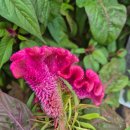 신상호한의원 이미지