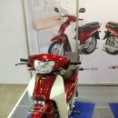 대림자동차서비스 이미지