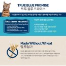 [체험후기] 주식캔 :: 블루버팔로 블루파테 인도어 치킨