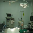 리안 동물병원 이미지