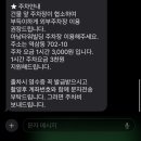 털미남 | [강남구] 더뉴 털미남 남자왁싱 피부