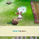 ㈜리더결혼정보 루리웹게임뉴스