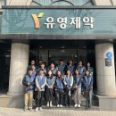 유영제약
