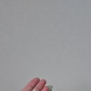 건강한새싹어린이집 이미지