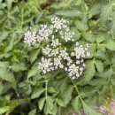 기민농장 이미지