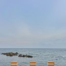 비다펠리즈(VIDA FELIZ) 이미지