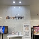 토탈케어한방병원 | 접촉사고 후 목, 어깨 통증으로 다녀온 자향한방병원 일산 진료 후기